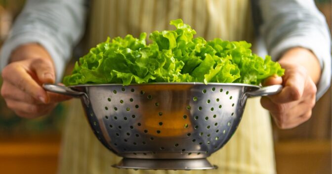 Dicas para Cozinha: Como conservar alface por até 12 dias na geladeira com essa técnica simples